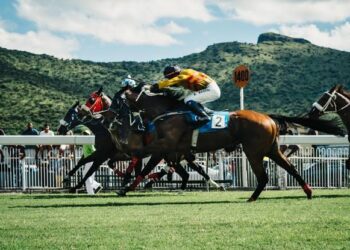 Vietnam Horse Race Betting: Navigating the Regulatory Track from Licensing to Implementation – From Pilot Projects to a Regulated Industry – What Investors Need to Know in 2026