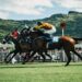 Vietnam Horse Race Betting: Navigating the Regulatory Track from Licensing to Implementation – From Pilot Projects to a Regulated Industry – What Investors Need to Know in 2026
