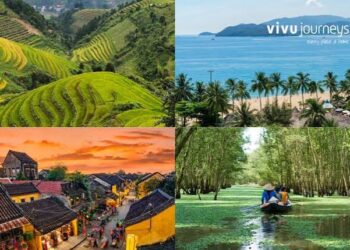 VIETNAM – NEWS AND REGULATIONS (15.05.2026)