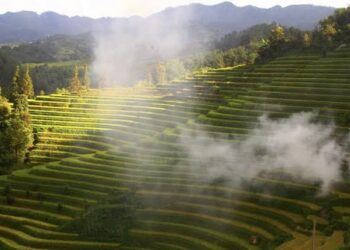 VIETNAM – NEWS AND REGULATIONS (22.05.2026)