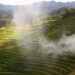 VIETNAM – NEWS AND REGULATIONS (22.05.2026)