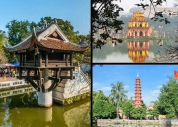VIETNAM – NEWS AND REGULATIONS (12.06.2026)