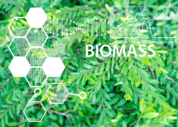 Vietnam’s Energy Transition & the Rise of Biomass