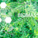 Vietnam’s Energy Transition & the Rise of Biomass